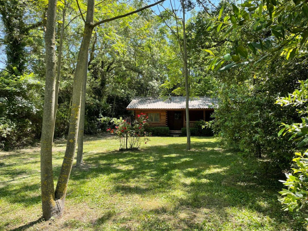 Chalet privé en Provence Saint-Rémy-de-Provence Esterno foto