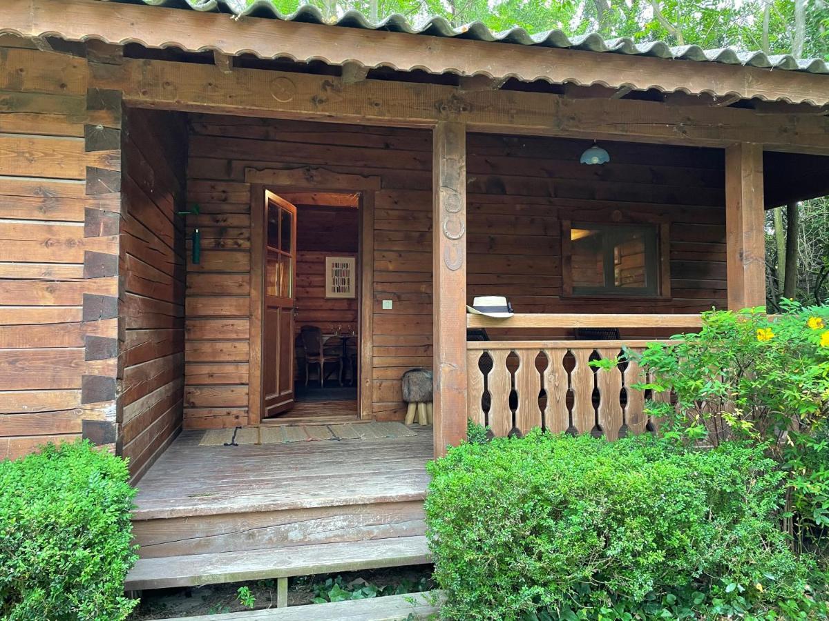 Chalet privé en Provence Saint-Rémy-de-Provence Esterno foto